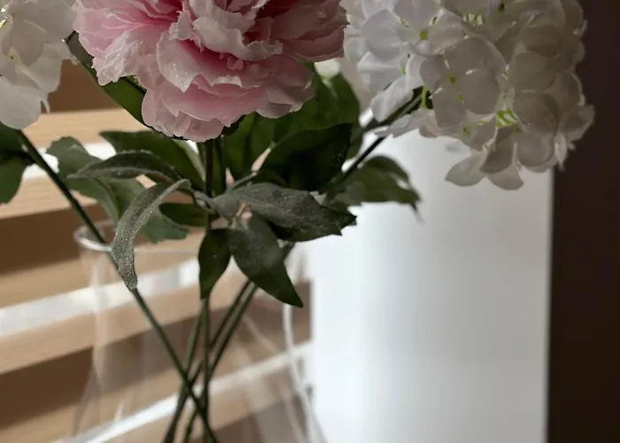 Apartment Schoene Drei Raumwohnung. Hell,stilvoll, Gemuetlich.